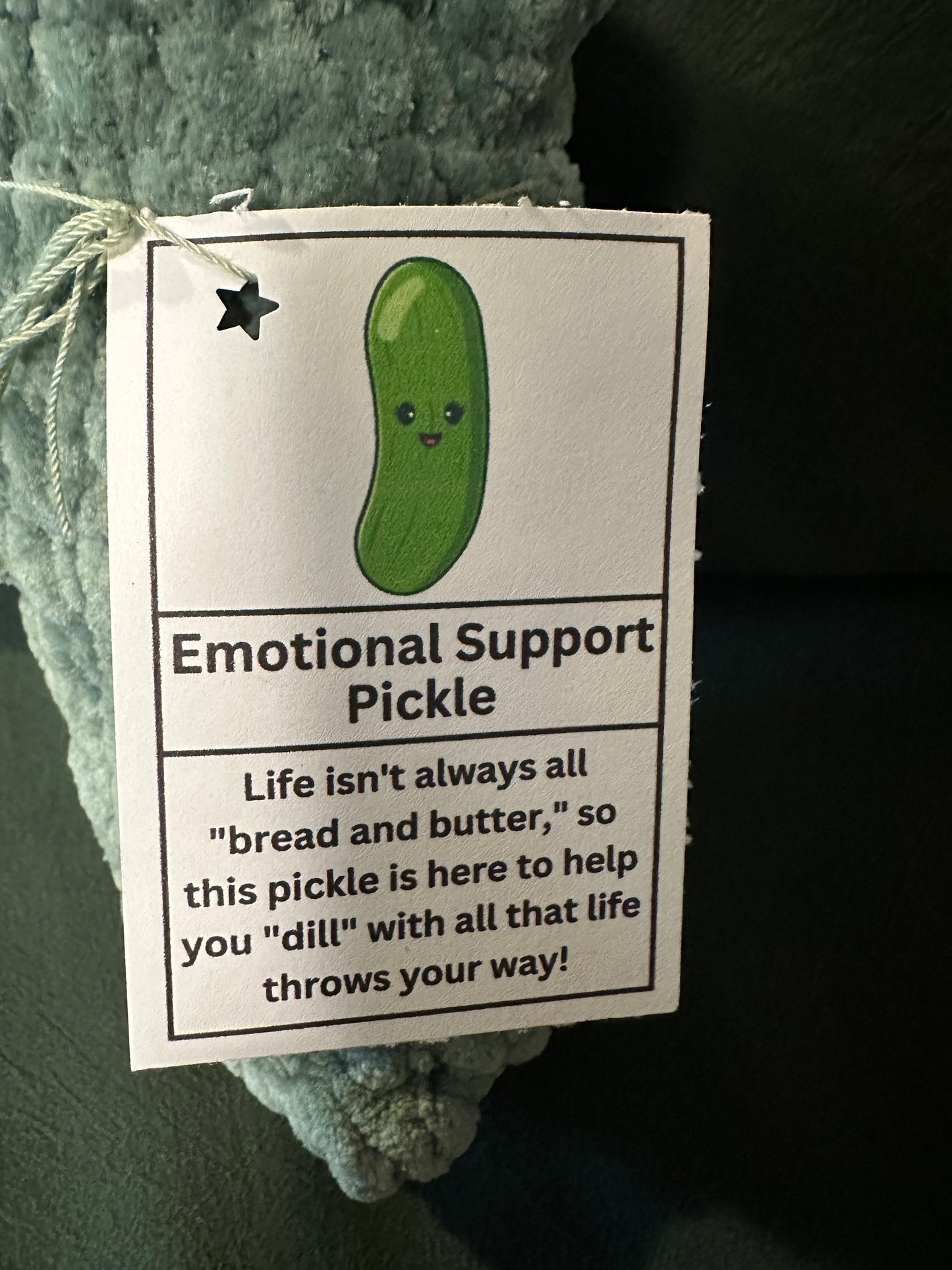 Emotional Support Pickle